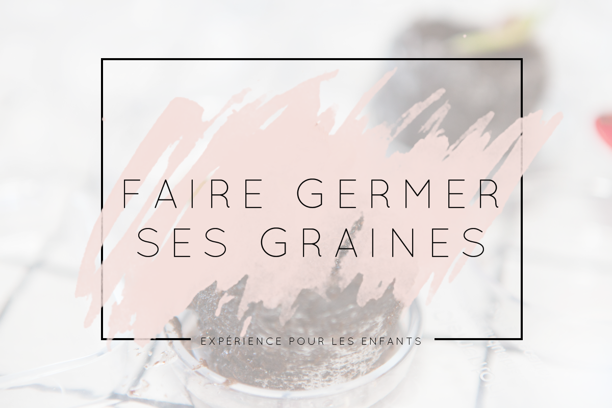 Faire germer des graines