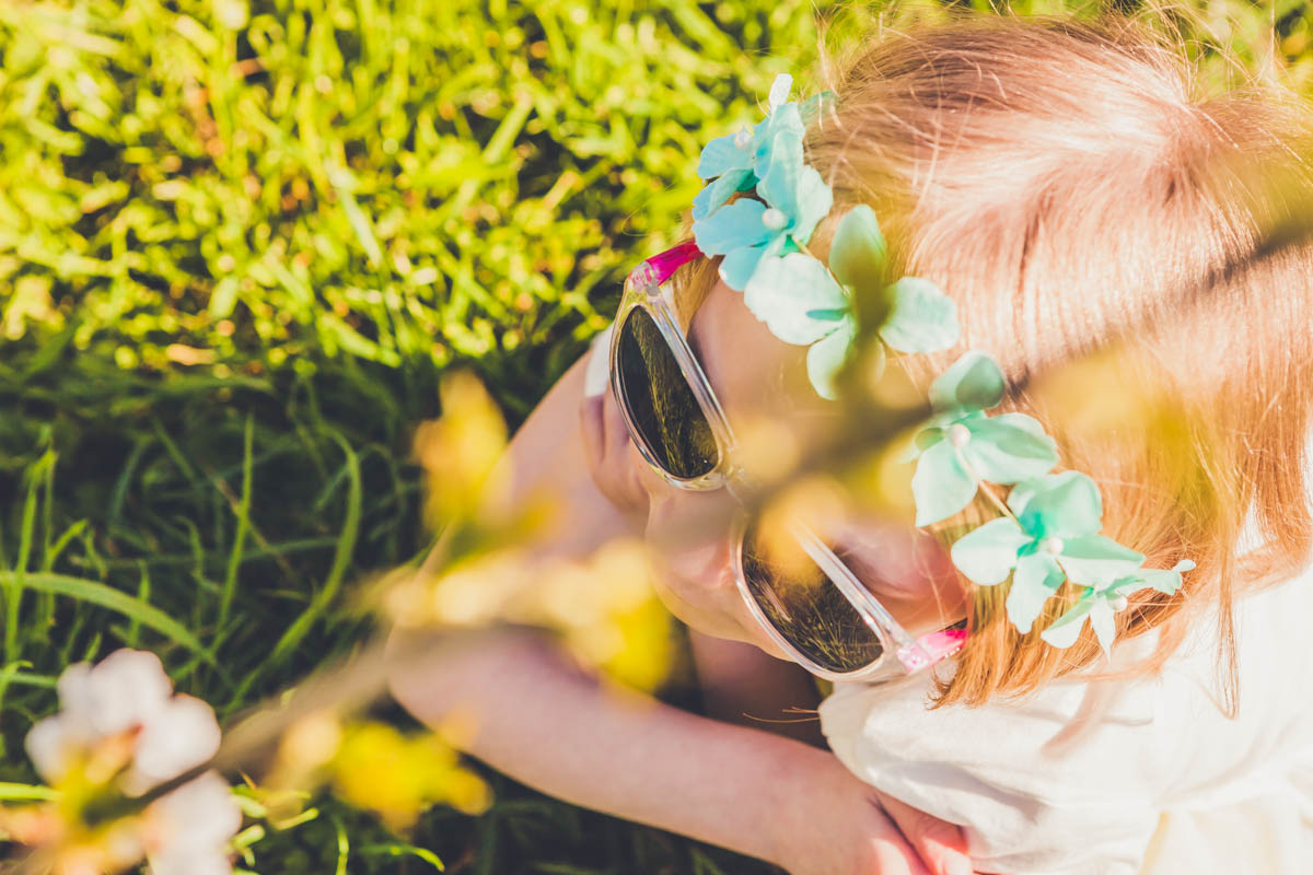 Le cerisier en fleur et les Little Binocle