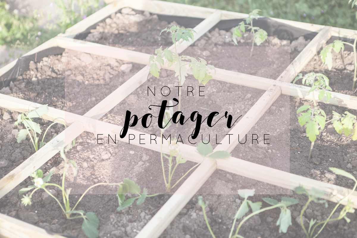 Notre potager en permaculture