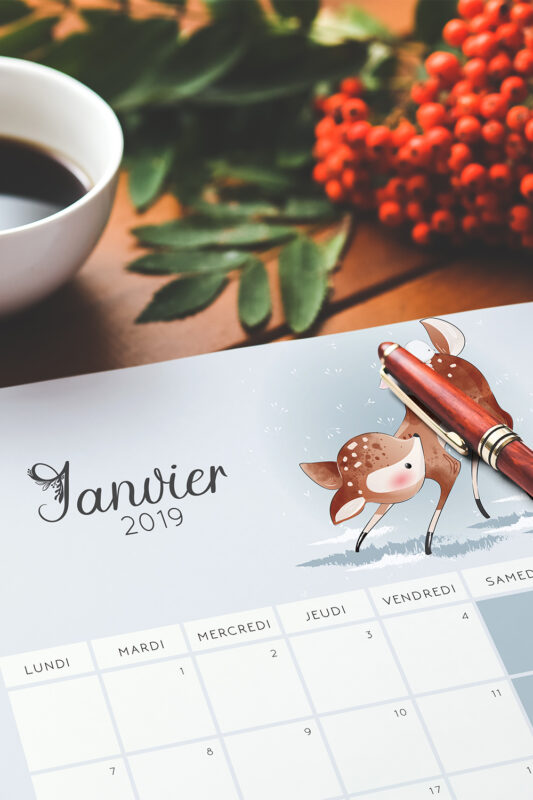 Calendrier de Janvier 2019 à imprimer