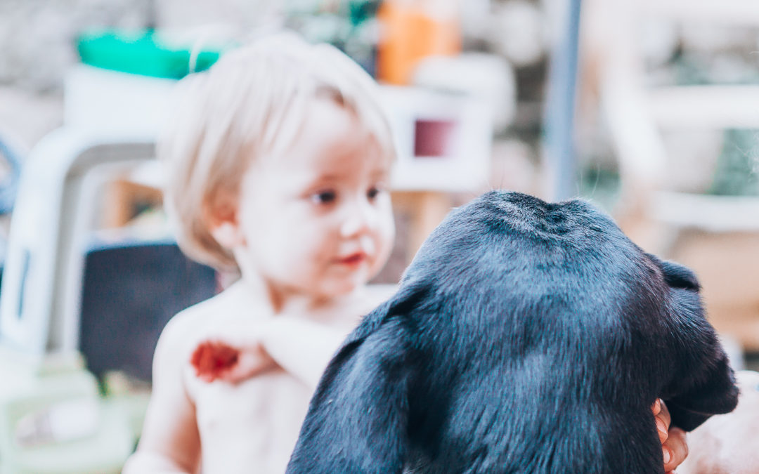 Protéger ses enfants et ses animaux des parasites