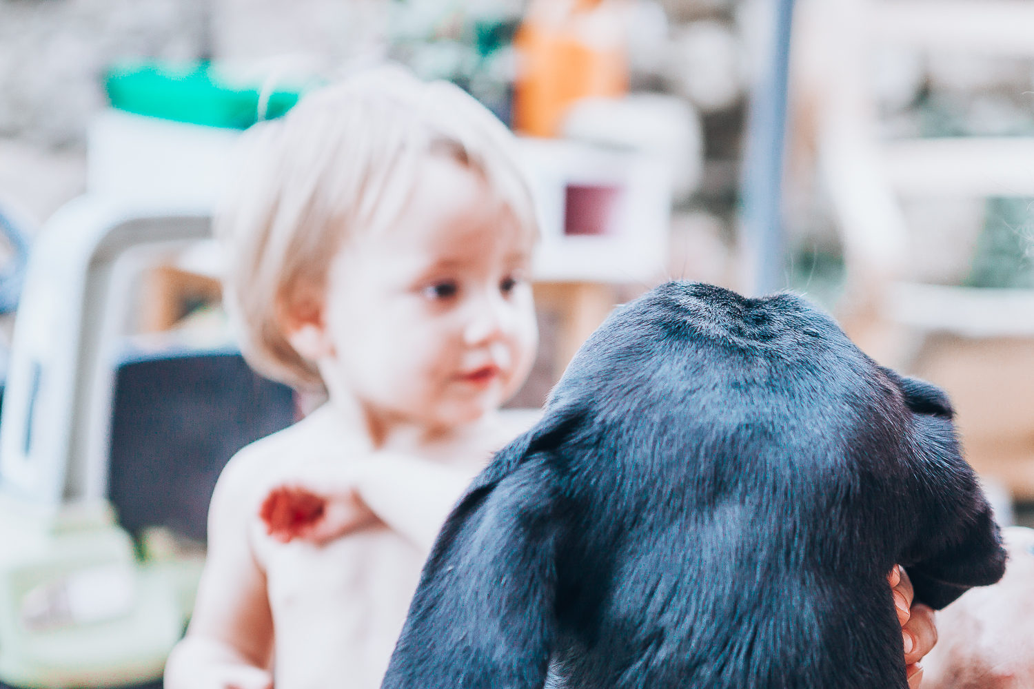 Protéger ses enfants et ses animaux des parasites