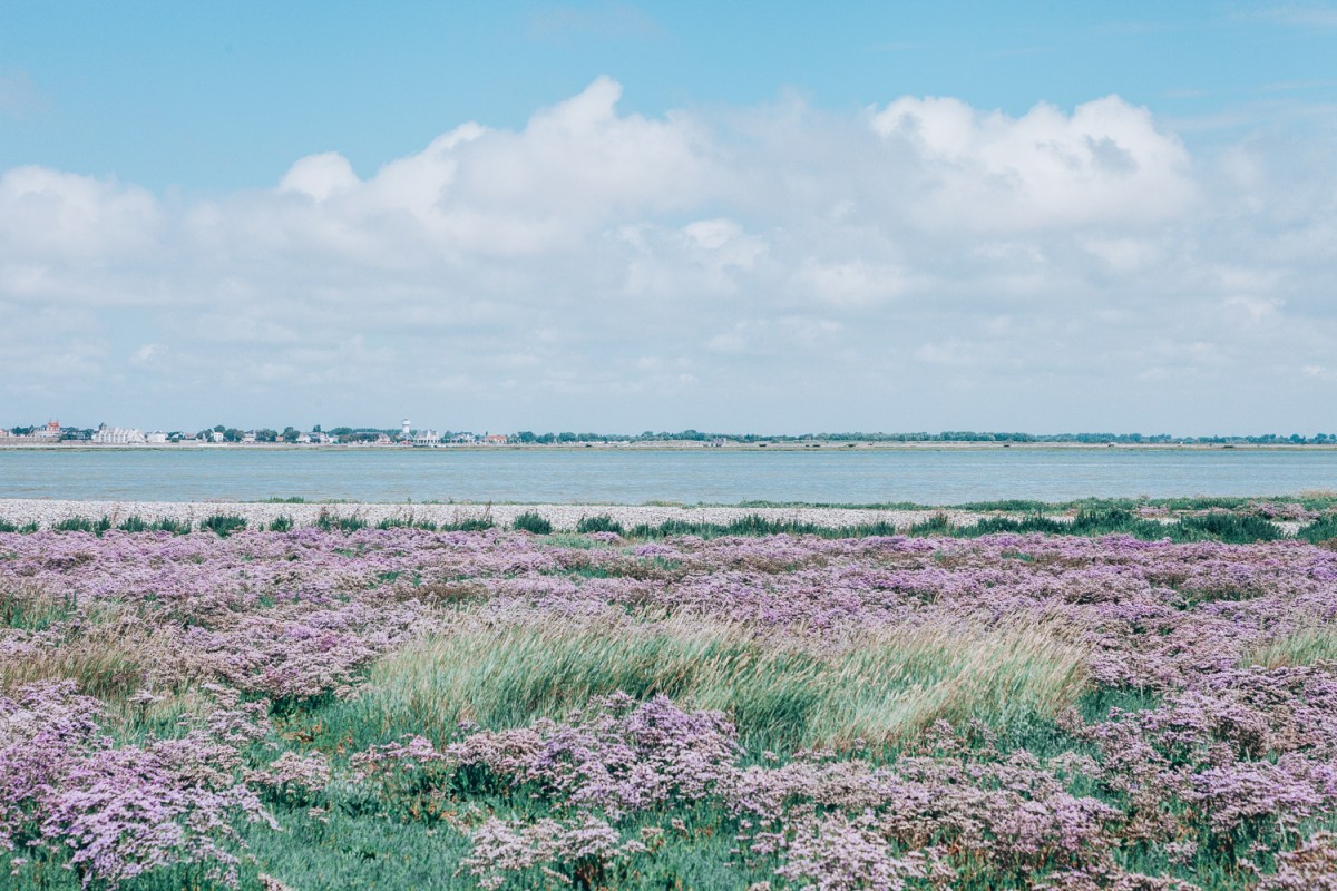 Saint Valéry sur Somme et la Baie de Somme