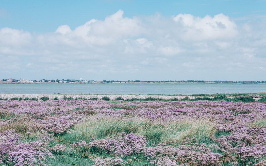 Saint Valéry sur Somme et la Baie de Somme