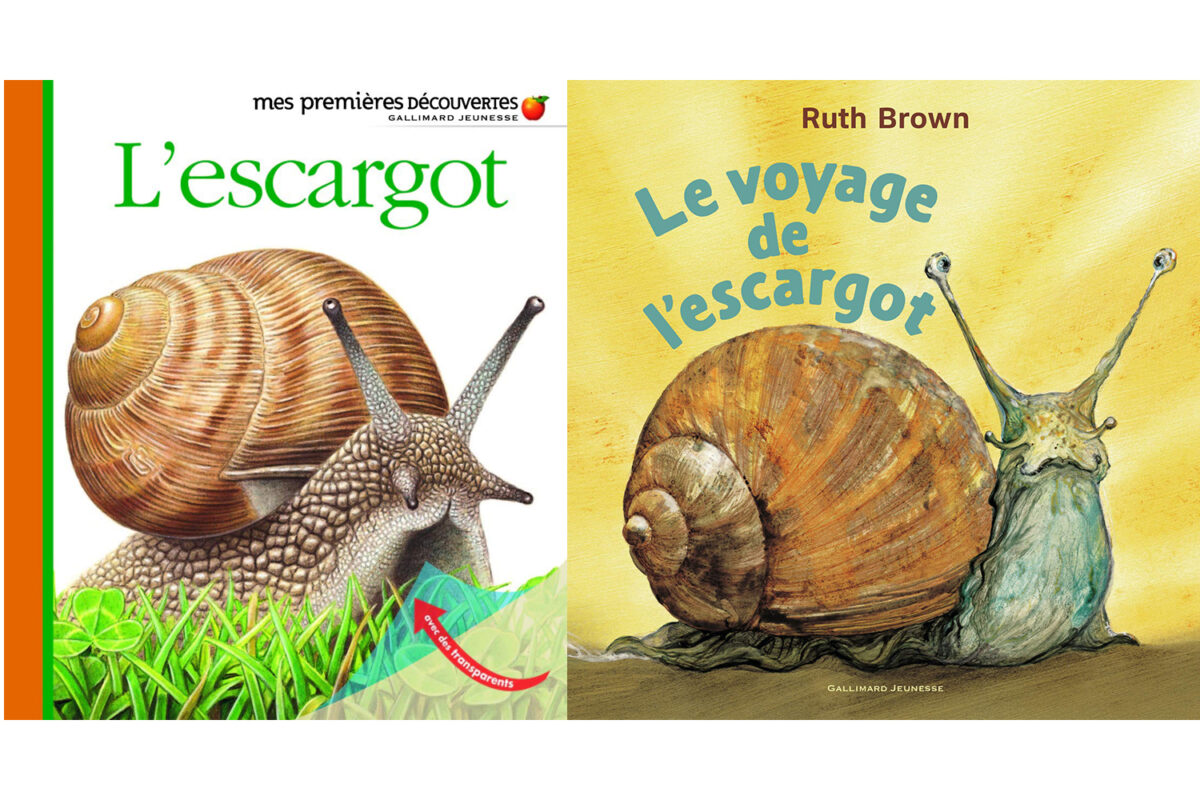 Chut on lit ! Nos livres autour de l’escargot