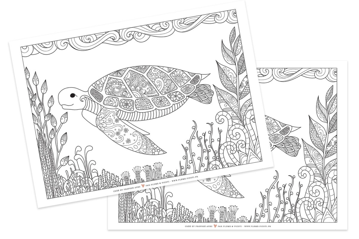 Coloriage tortue – Coloring book