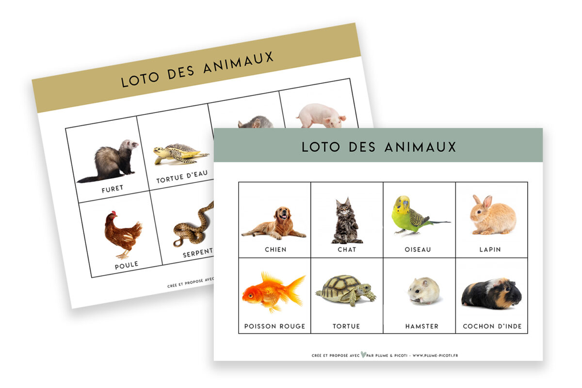 apprentissage anglais