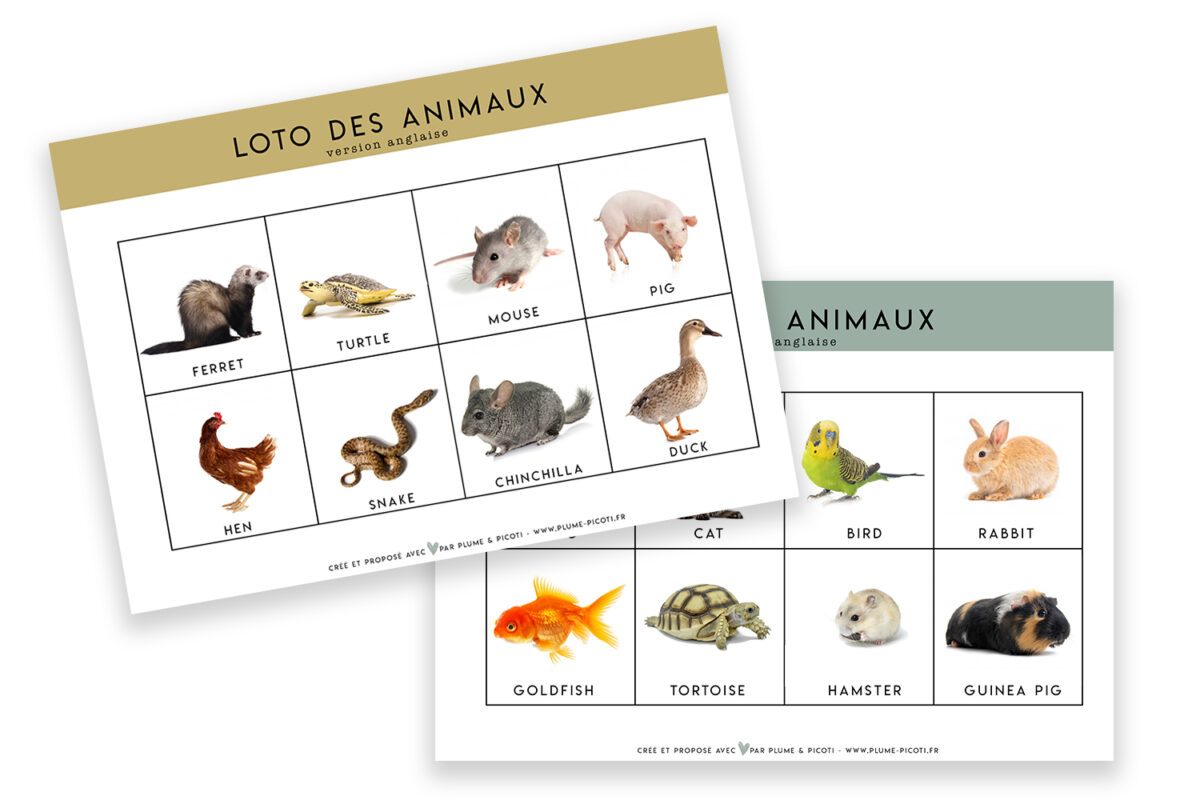 Loto des animaux domestiques à imprimer