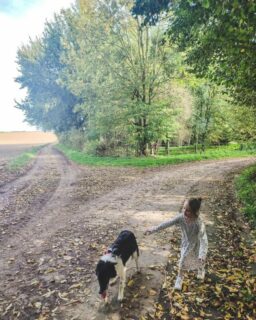 Quand tu essaies de faire une photo avec un enfant + un chien pas coopératif.

Et profiter des jolies couleurs de l'automne

#bordercollie #weasleyleborder #aliceeliocharlie #familytime #viealacampagne #autumn