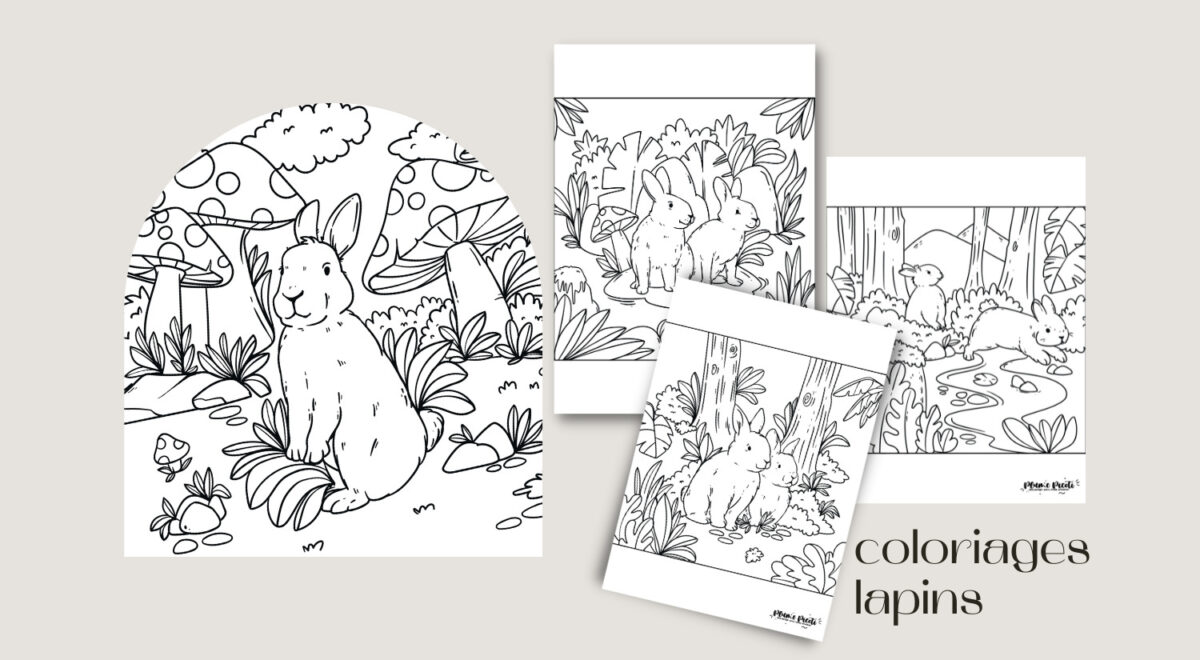 4 coloriages lapins à imprimer