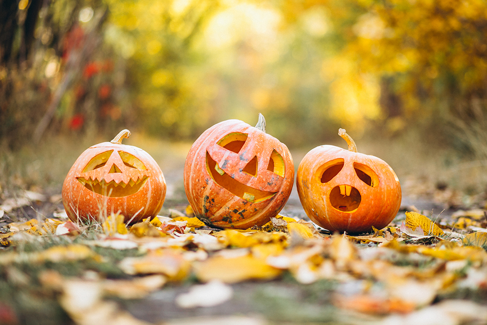 Halloween 2023 : Des Idées d’Activités Terrifiantes et Amusantes pour Toute la Famille